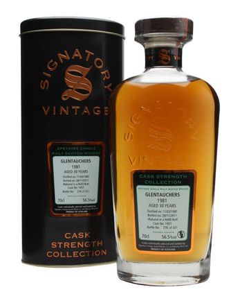 Glentauchers 1981 30년산 Cask #1057 Signatory Cask Strength Collection